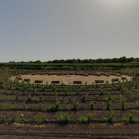 Cozzo Del Parroco - Ospitalita Tra I Vigneti Villa Granelli Bagian luar foto