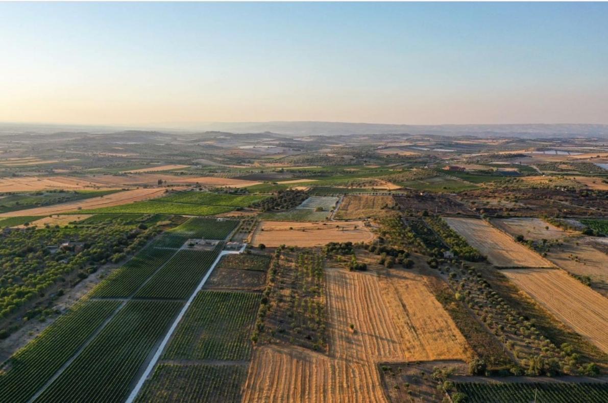 Cozzo Del Parroco - Ospitalita Tra I Vigneti Villa Granelli Bagian luar foto