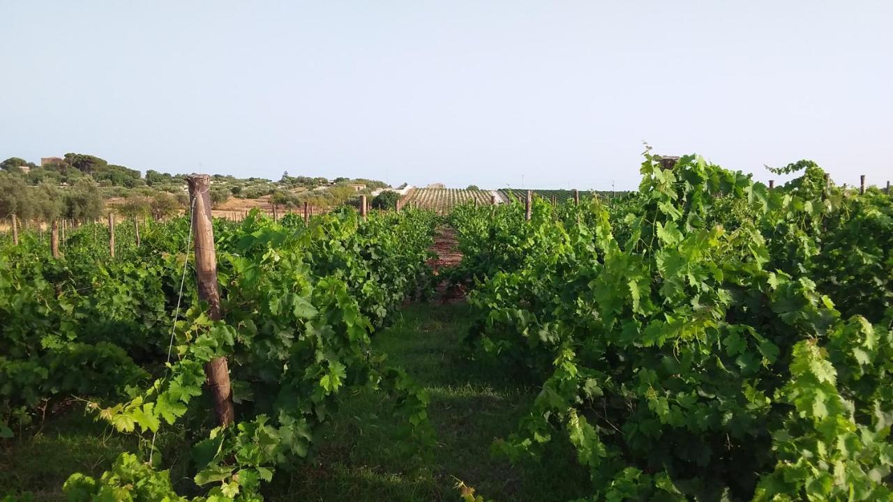 Cozzo Del Parroco - Ospitalita Tra I Vigneti Villa Granelli Bagian luar foto