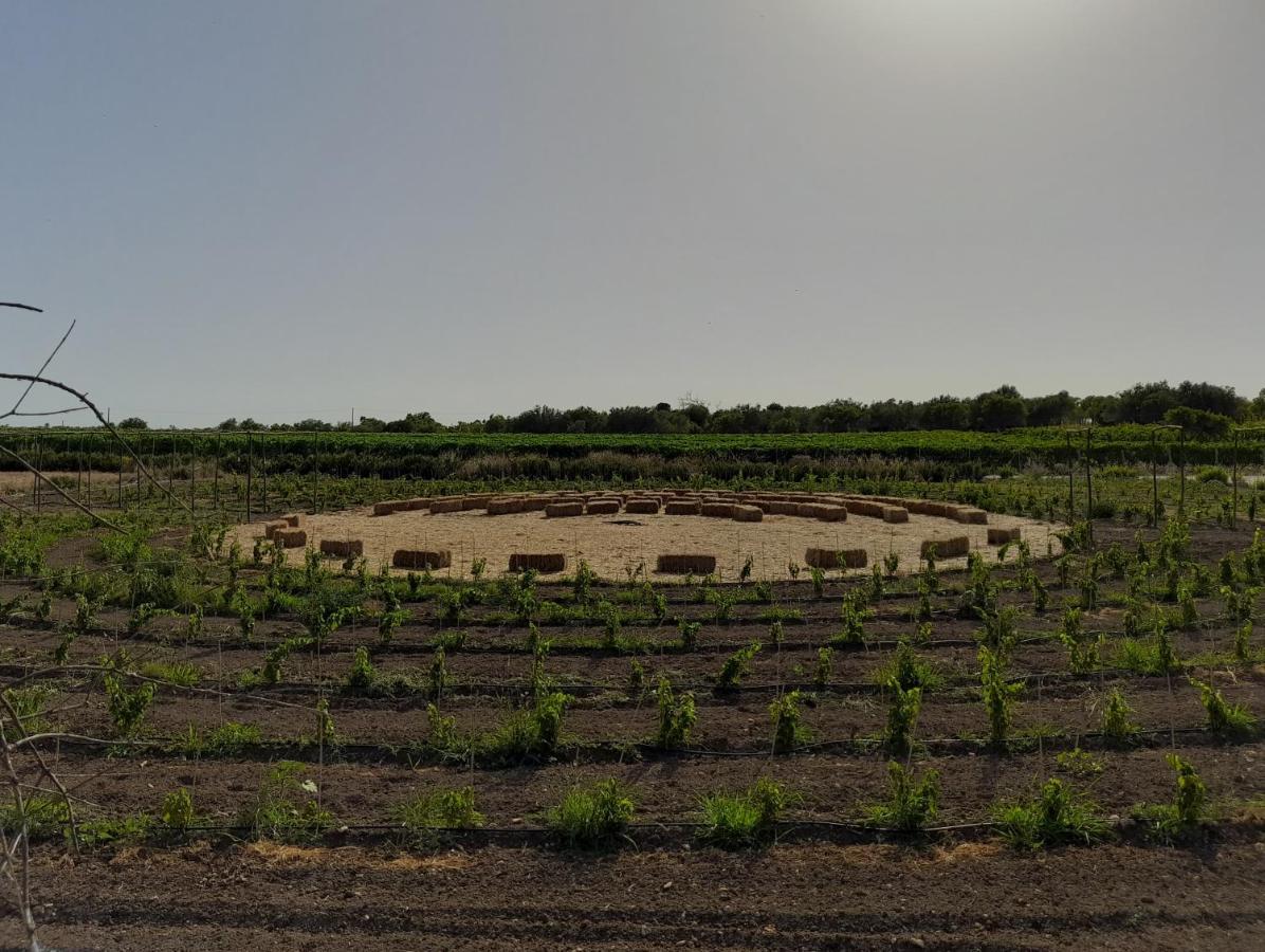 Cozzo Del Parroco - Ospitalita Tra I Vigneti Villa Granelli Bagian luar foto